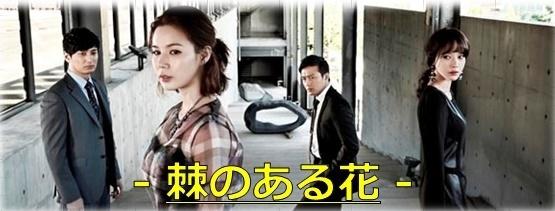 棘<トゲ>のある花
