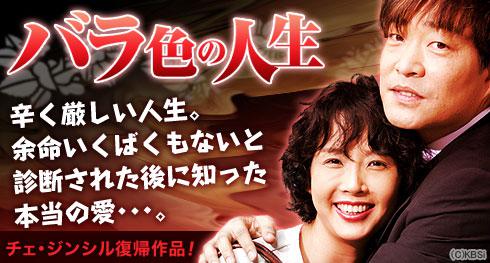 薔薇色の人生